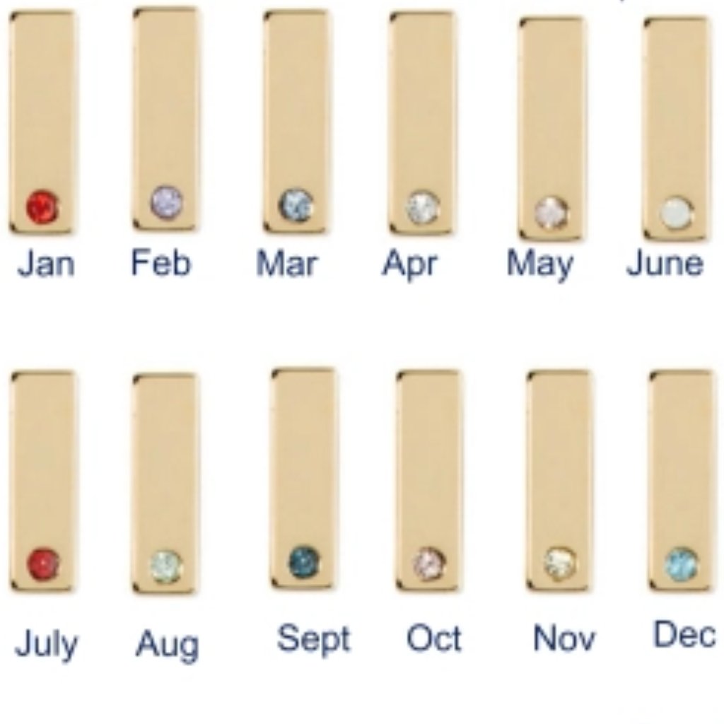 Gold Birthstone Bar  January Only